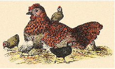 Placez une image/photo ici